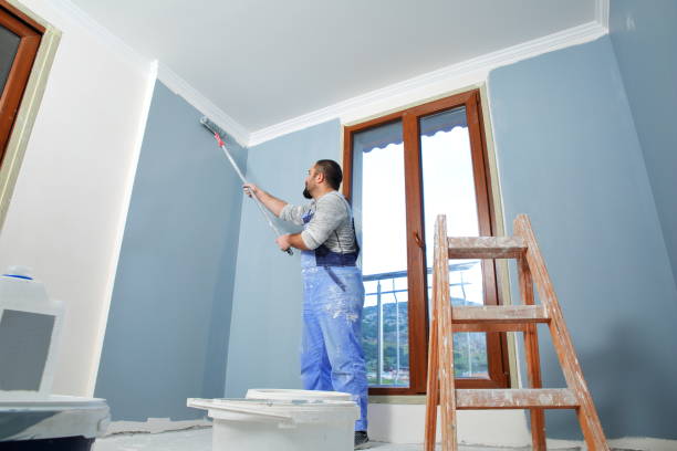 Reliable New Athens, IL Painting Solutions